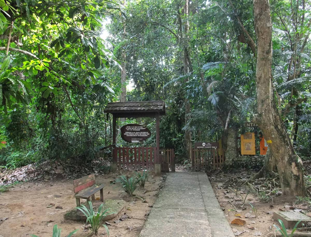 Taman Negara